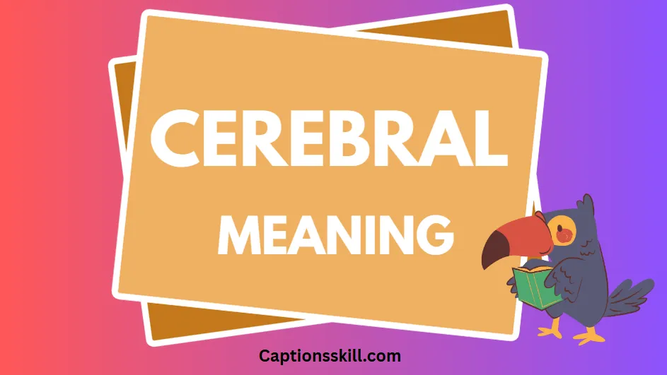 Understanding the Word “Cerebral”: Meaning, Usage, and Cultural Impact