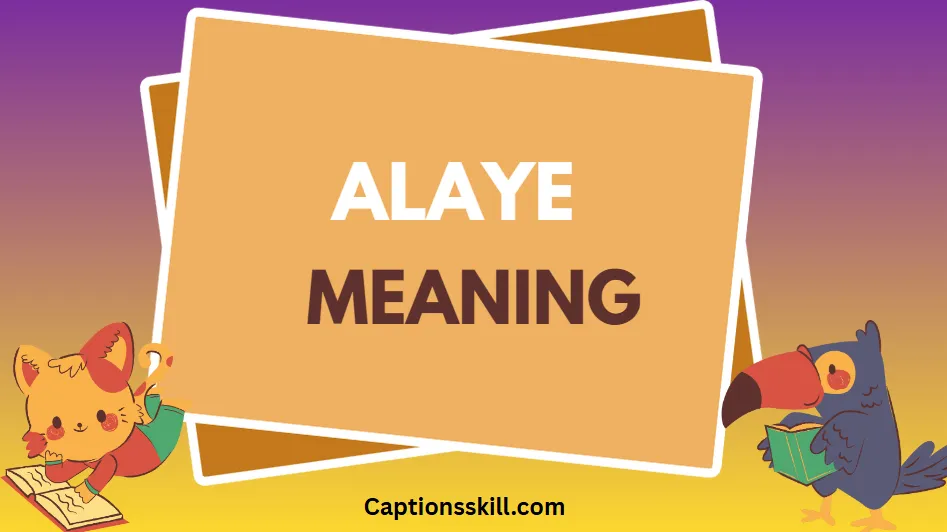 Alaye Meaning – Full Guide with Usage, Origin, and Cultural Context