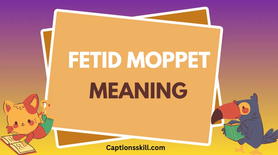 Fetid Moppet Meaning A Complete Guide