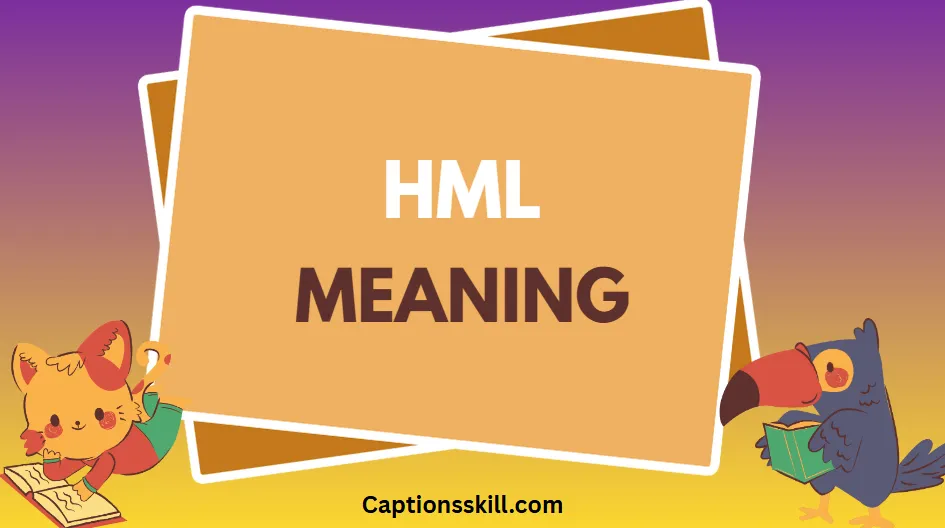 HML Meaning: Everything You Need to Know
