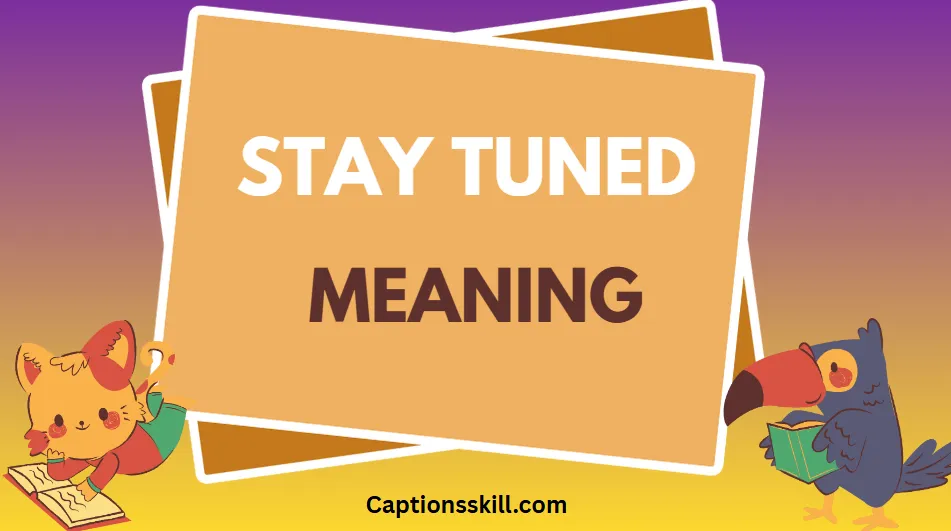 Stay Tuned Meaning – Full Guide with Examples & Usage