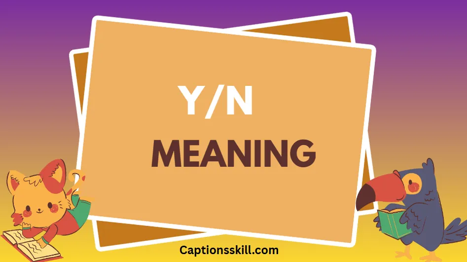 YN Meaning A Complete Guide to Its Origins, Uses, and Impact