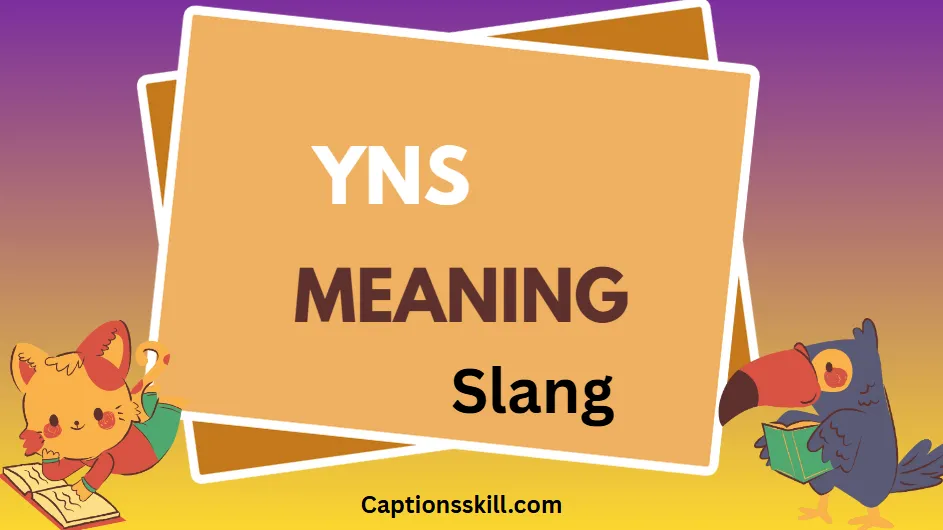 YNS Meaning Slang What Does YNS Really Mean